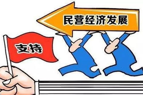 海內(nèi)外大咖論道臺(tái)州 民營(yíng)經(jīng)濟(jì)如何‘又香又壯’的法規(guī)路徑